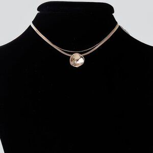 Reflection Plate Snake Chain Necklace